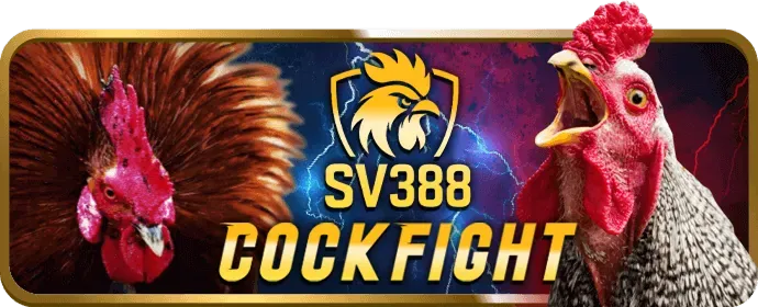 Cá cược eSports tại HL8